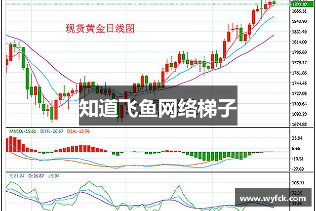 知道飞鱼网络梯子